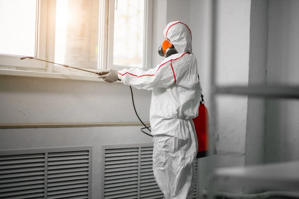 Professional mold remediation services in Riverside, NJ
